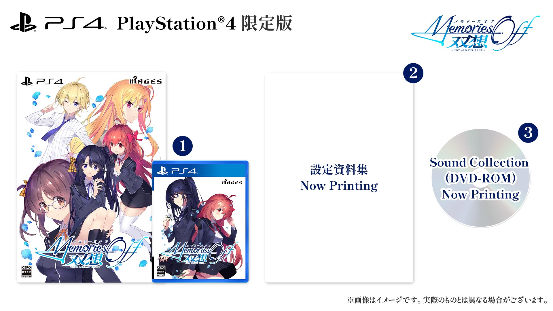 PlayStation®4 限定版